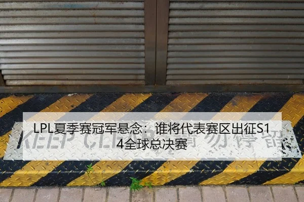 xia-ji-sai-guan-jun-xuan-nian-shui-jiang-dai-biao-sai-qu-chu-zheng-quan-qiu-zong-jue-sai-2-501.jpg